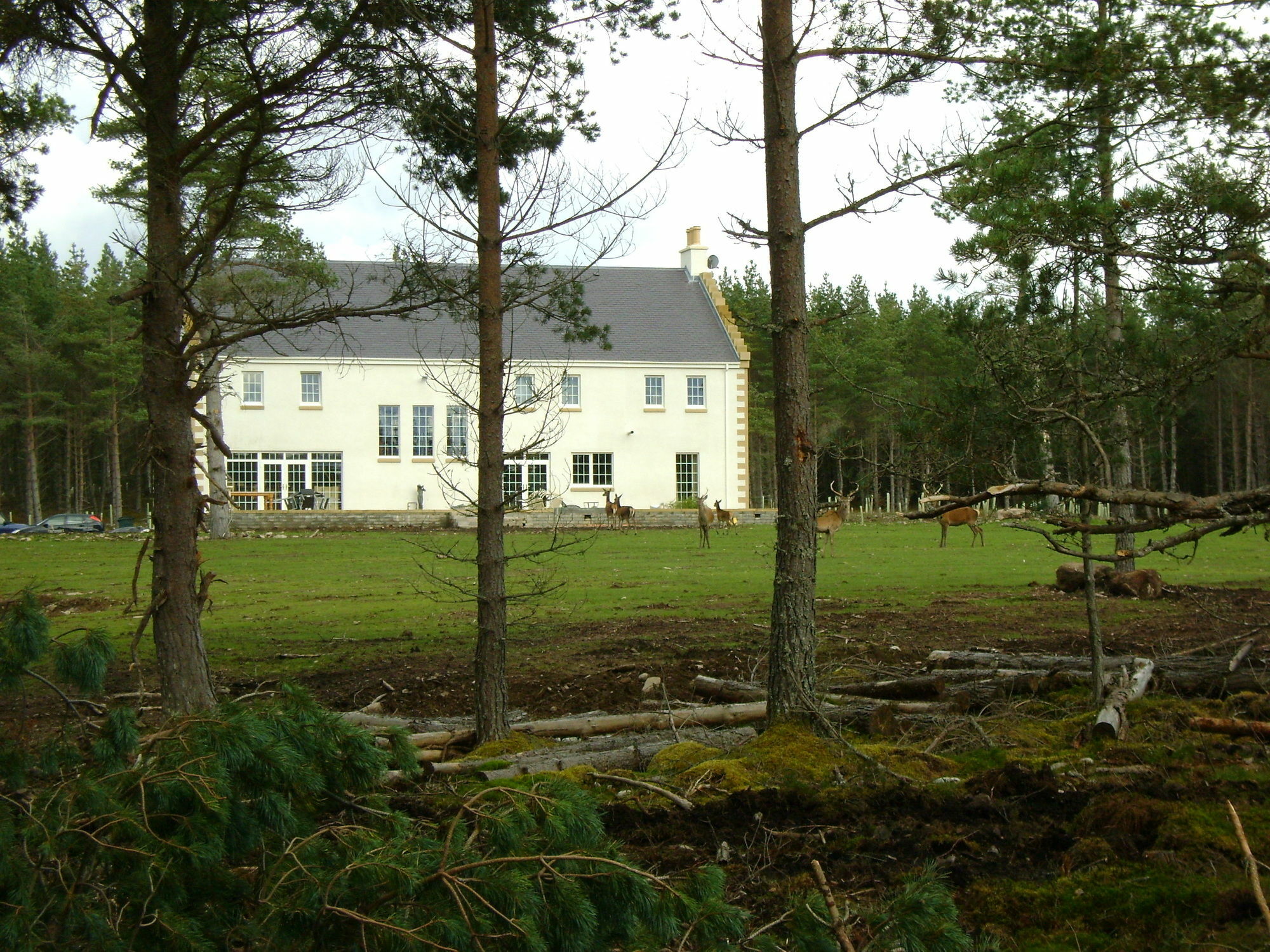 Dinichean House Bed and Breakfast Daviot  Buitenkant foto
